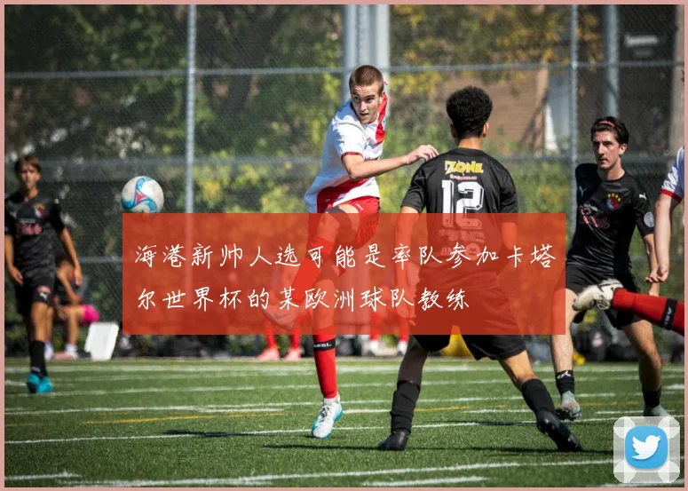 海港新帅人选可能是率队参加卡塔尔世界杯的某欧洲球队教练