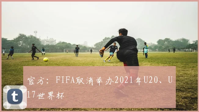 官方：FIFA取消举办2021年U20、U17世界杯