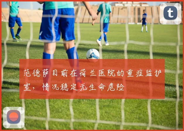 范德萨目前在荷兰医院的重症监护室，情况稳定无生命危险