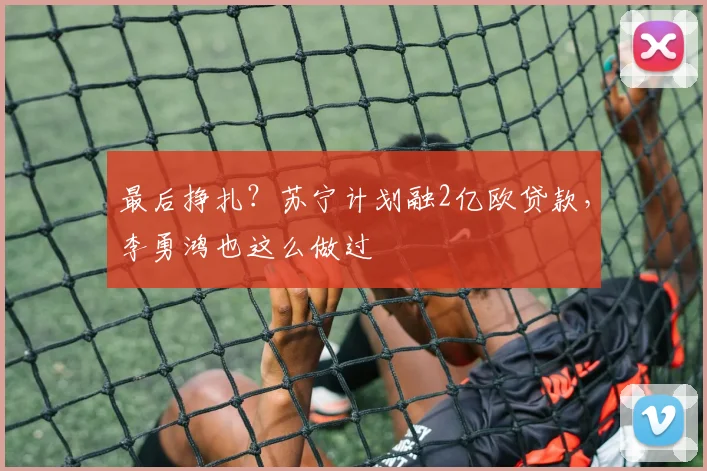 最后挣扎？苏宁计划融2亿欧贷款，李勇鸿也这么做过